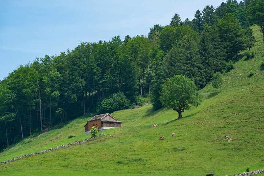 cabin deals in wilderness