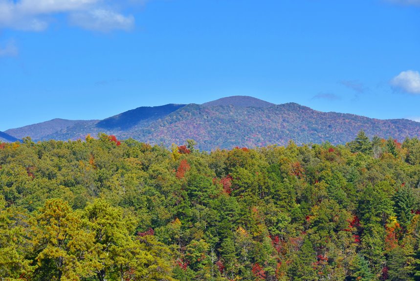 cabin rentals near waterfalls