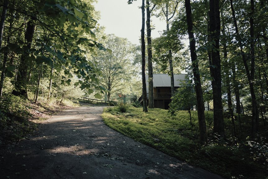 cabins near amicalola falls