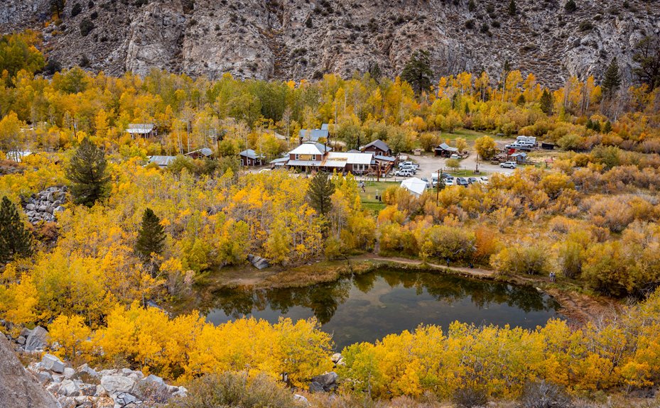 cabins with private ponds