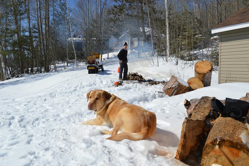 cozy winter adventure escapes