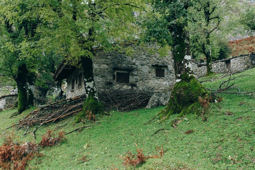 escape to mountain retreat