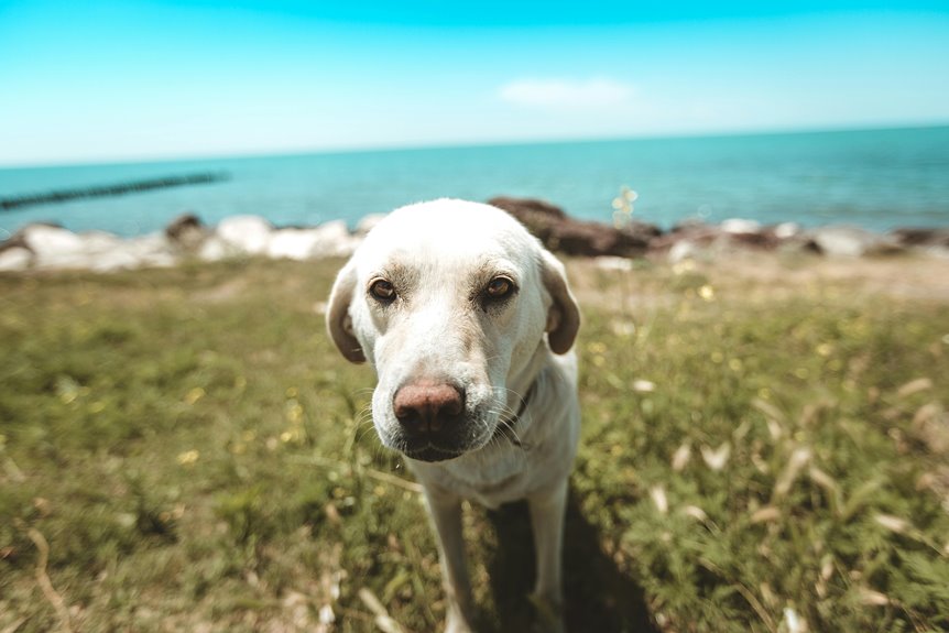 explore beautiful ocean shores
