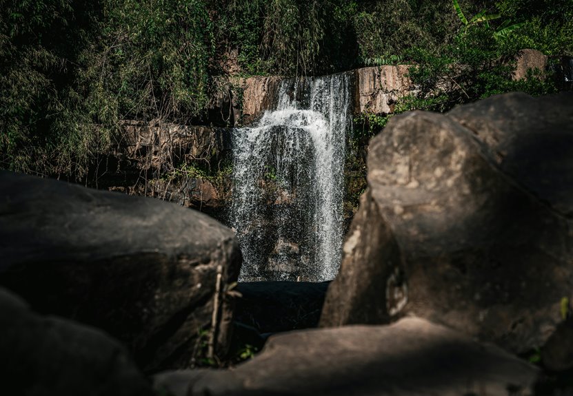 explore georgia s natural wonders