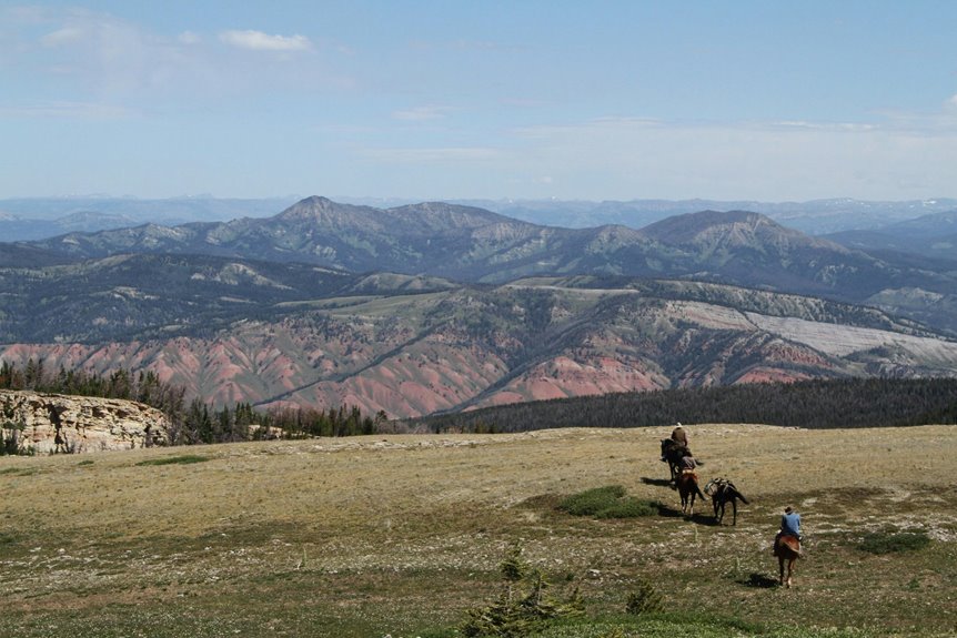 explore nature on horseback
