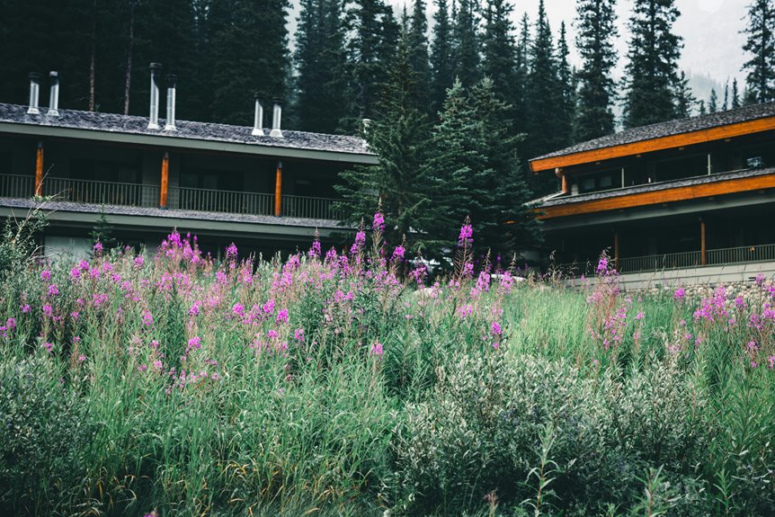 explore nature s best accommodations