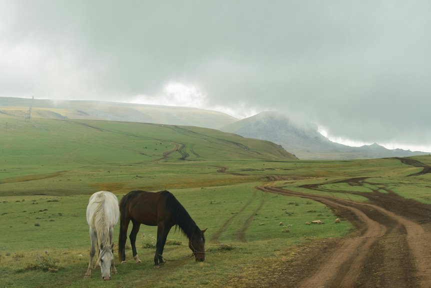 explore rural mountain retreats