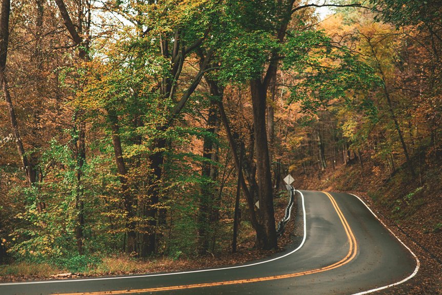 explore wine country roads