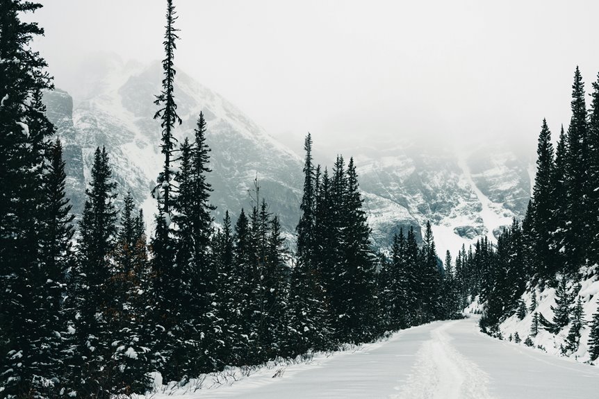 explore winter s hidden trails