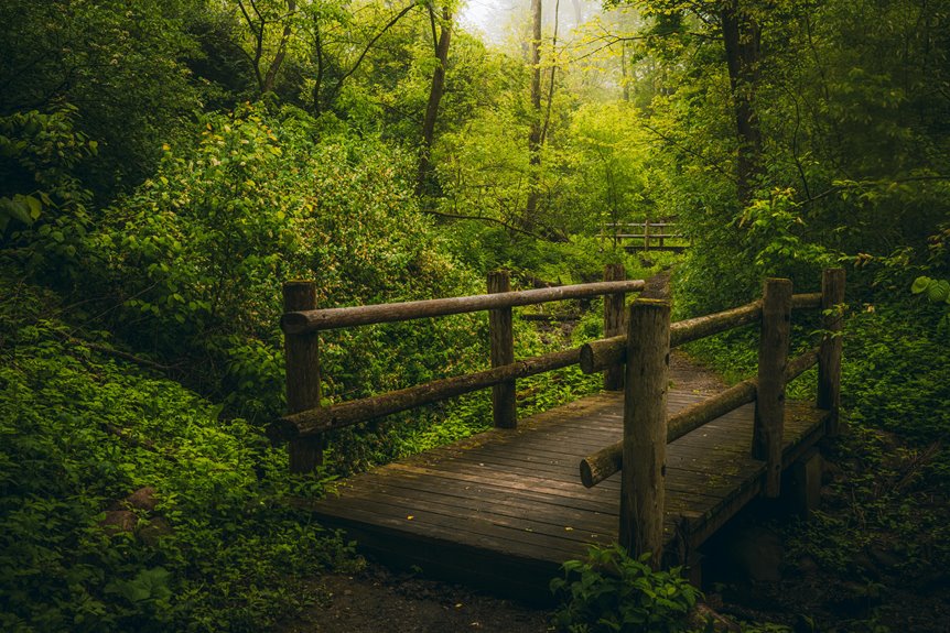 explore wisconsin s outdoor wonders