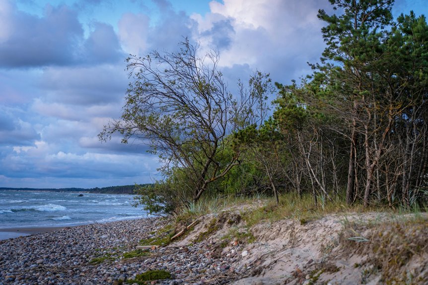 explore wisconsin s waterways slowly