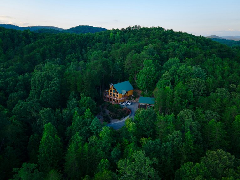 georgia pet friendly cabin rentals