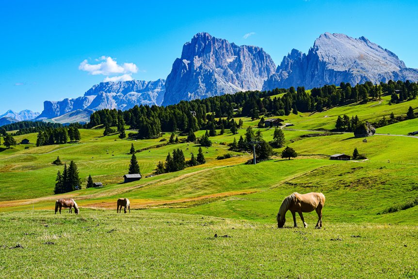 horse riding cabin retreats