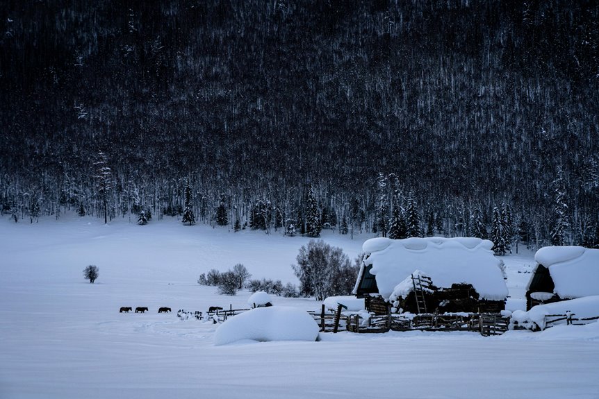 horseback riding cabin retreat