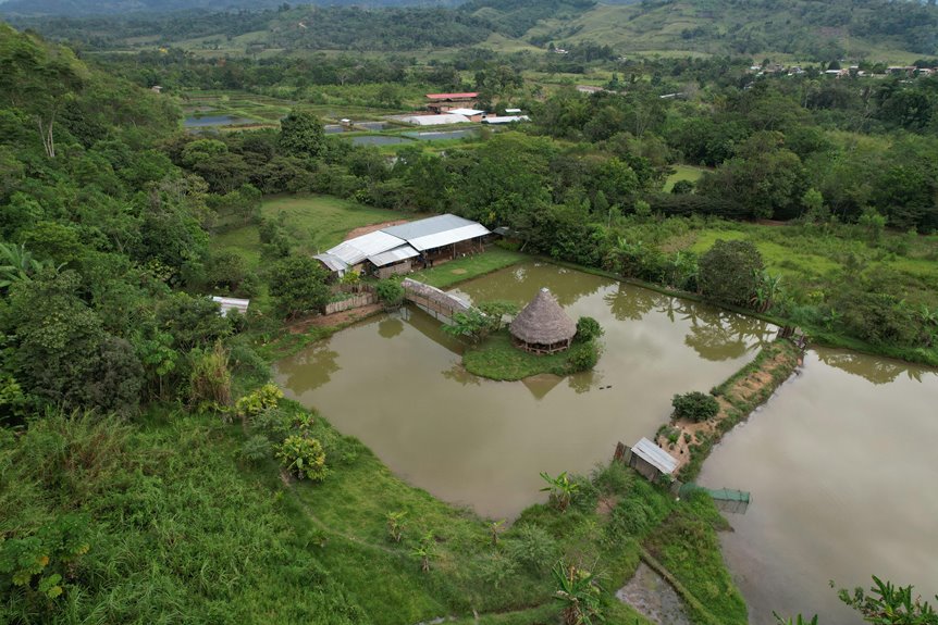 lakeside accommodation with pond