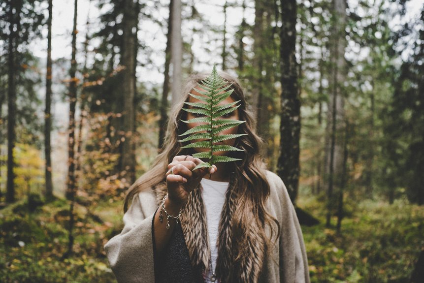 mystery of the forest