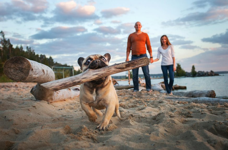 pet friendly cabin retreats await