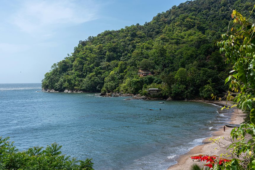 pet friendly georgia vacation spots