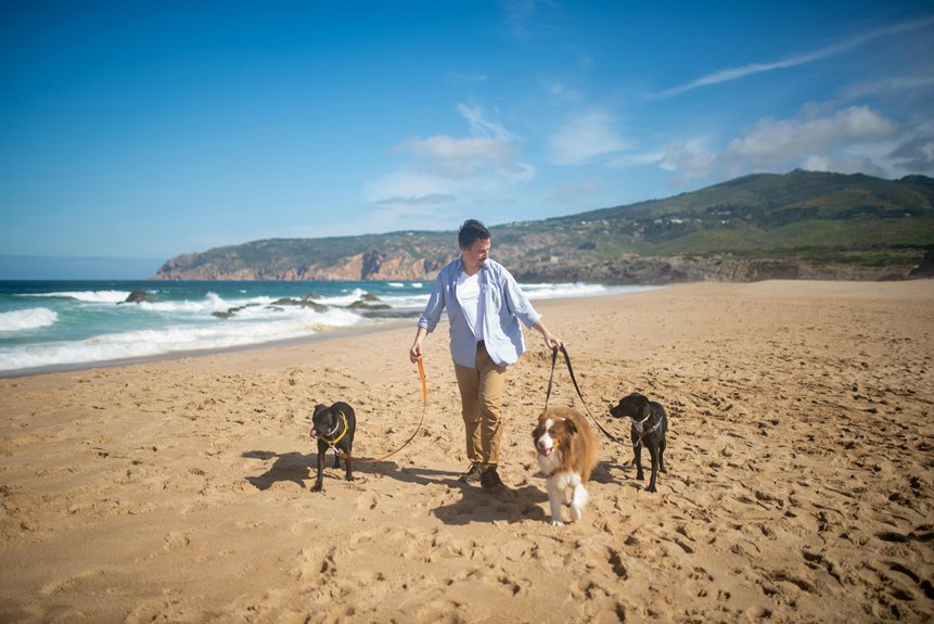 pet friendly mountain retreats await