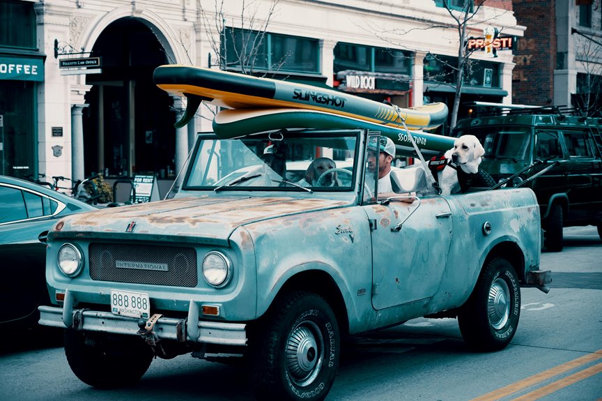 pet friendly vacation spot