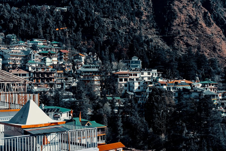 plan your winter trip