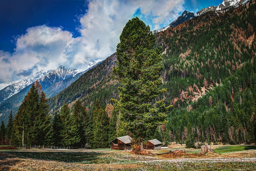private cabins in nature