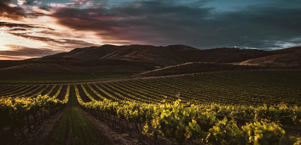 relaxation near wine country