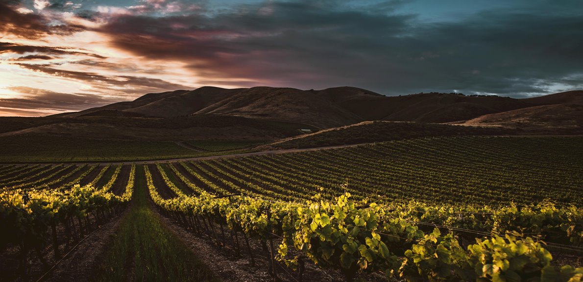 relaxation near wine country