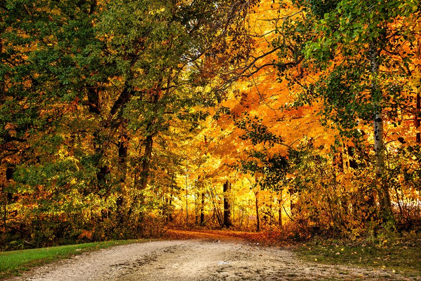 ride wisconsin s atv trails