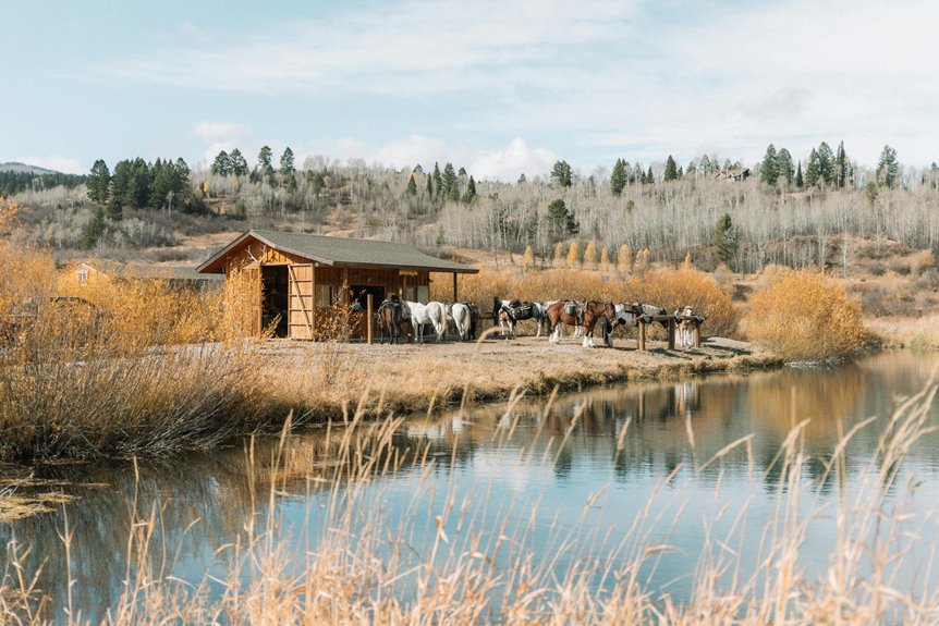 rural equestrian getaway experience