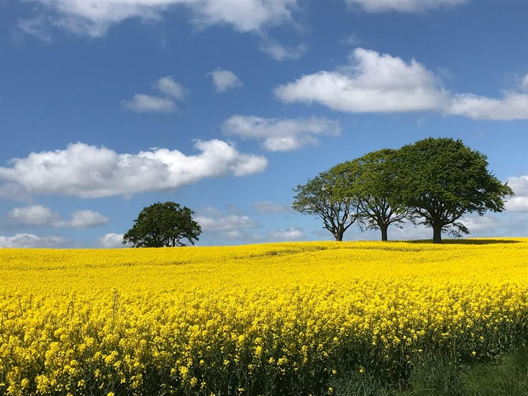 rural getaway planning advice