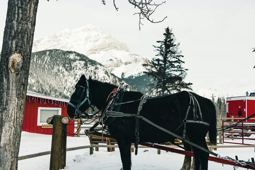 rustic outdoor adventure stays