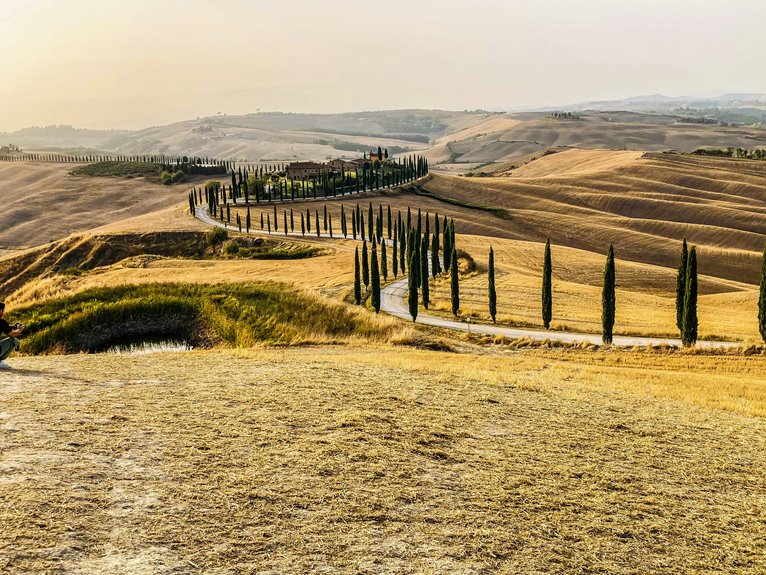 scenic vineyard fall drives