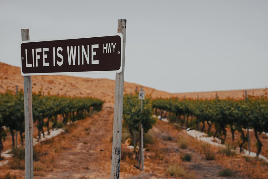 scenic wine country routes
