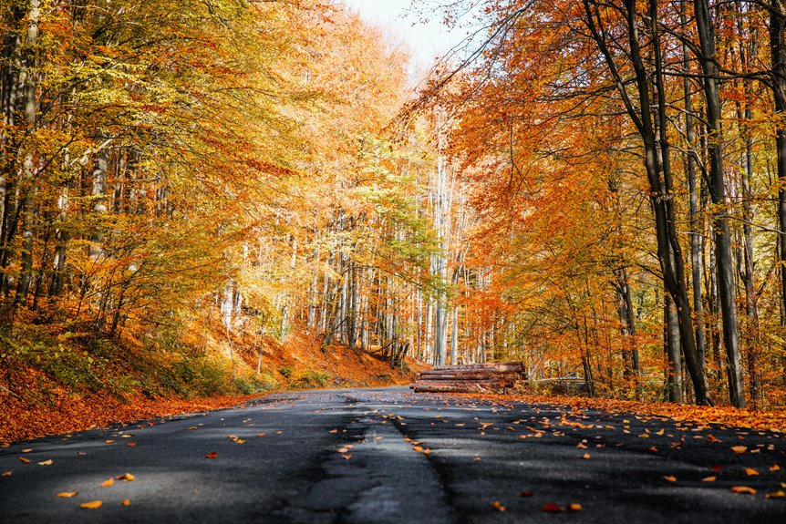 scenic wisconsin autumn drives