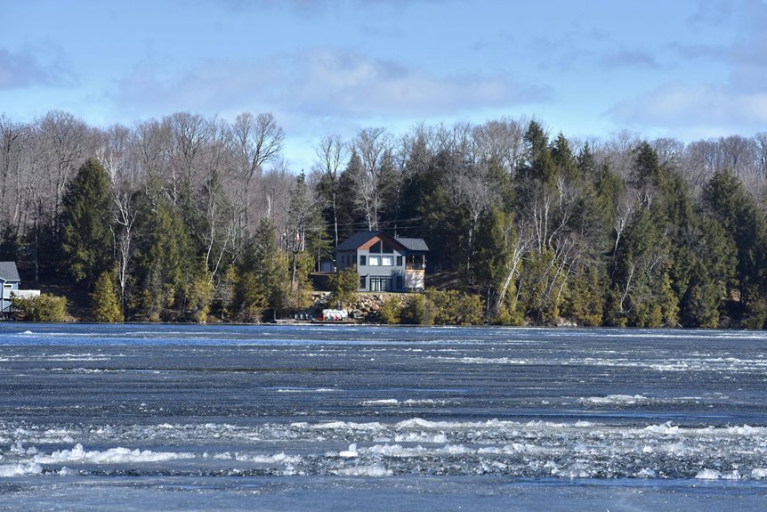 secluded woodland getaway found