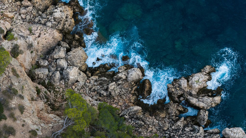 secrets of the shore