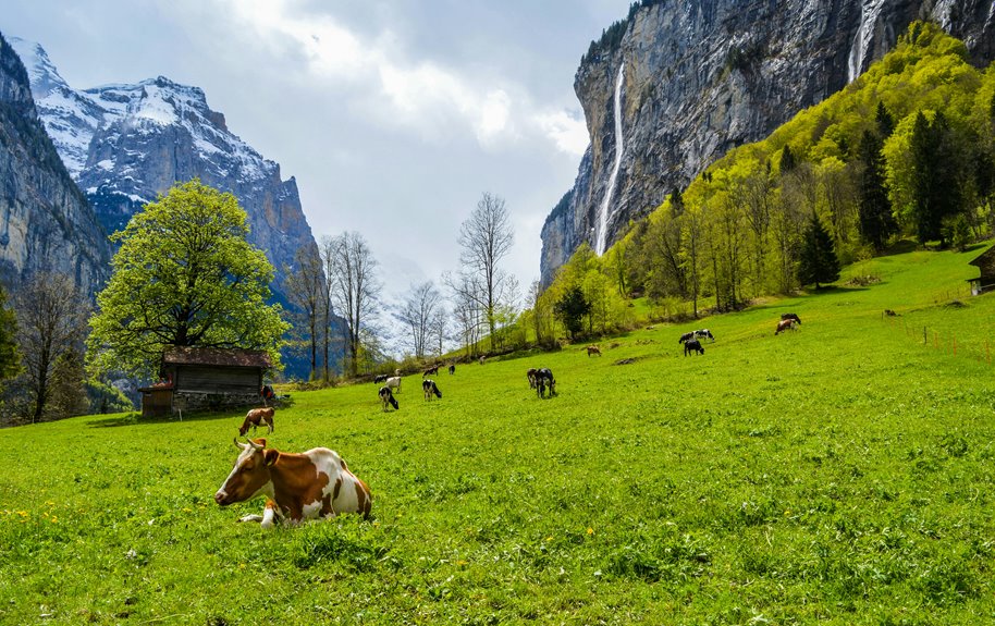selecting mountain vacation rentals