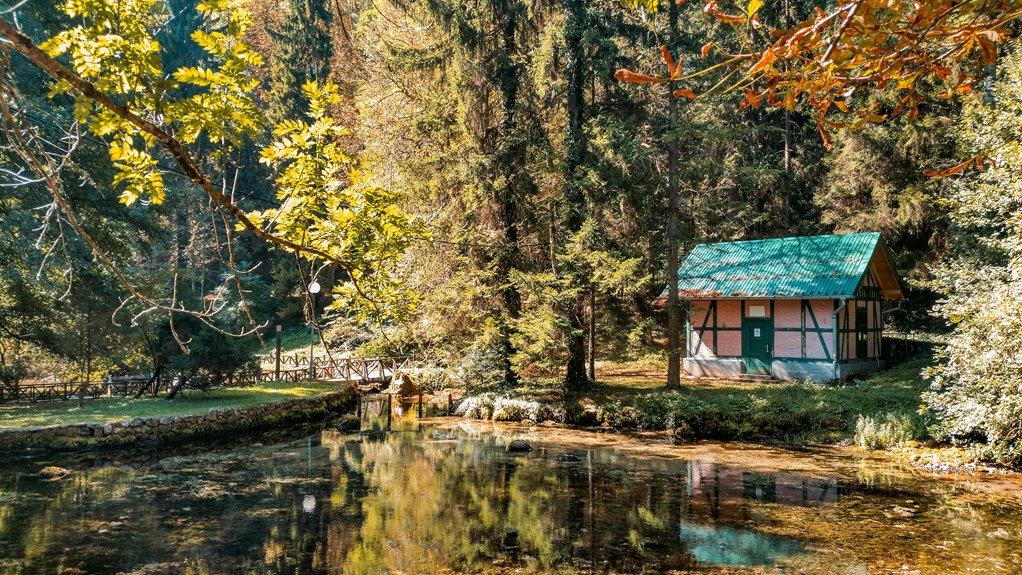 serene nature escape experience