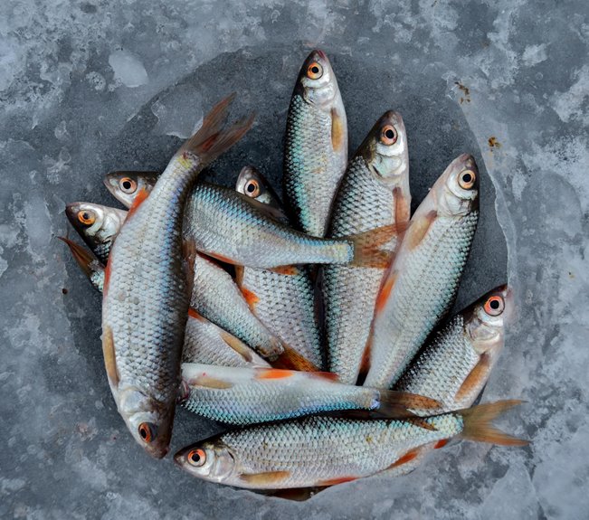 upper midwest fishing spots