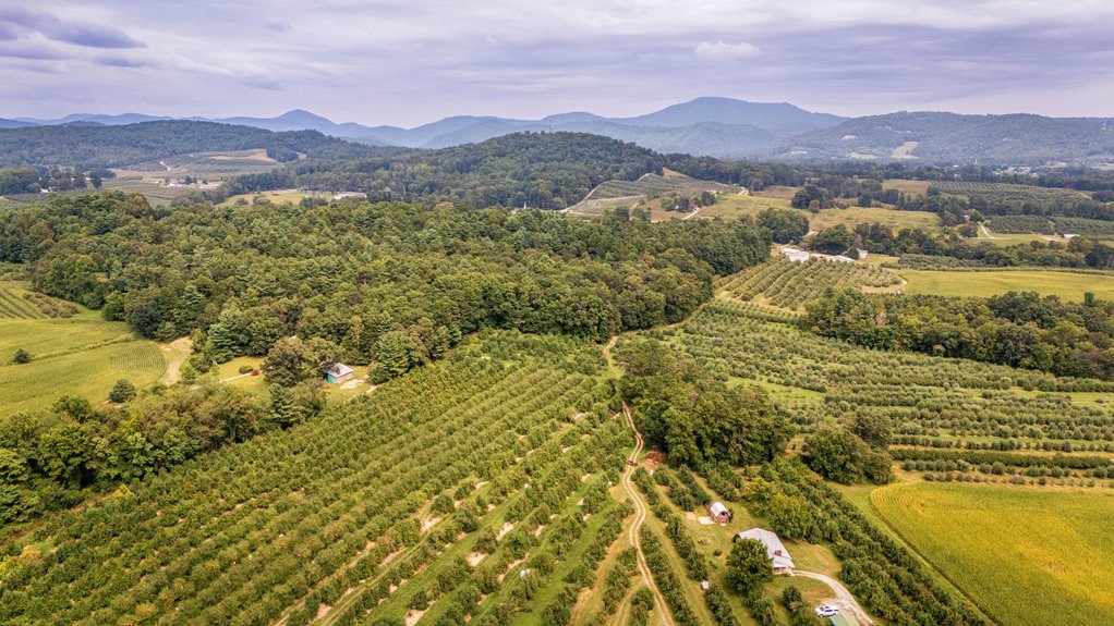 visit north georgia mountains