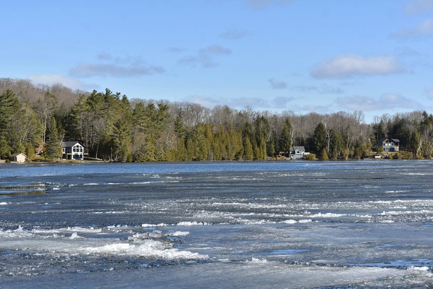 winter cabin rentals available