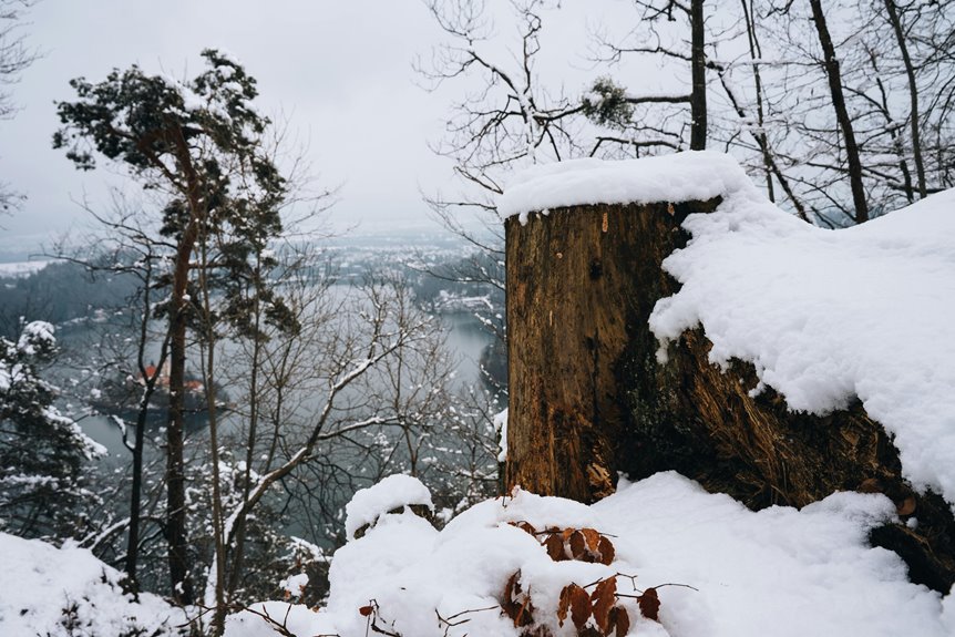 winter hiking in hayward