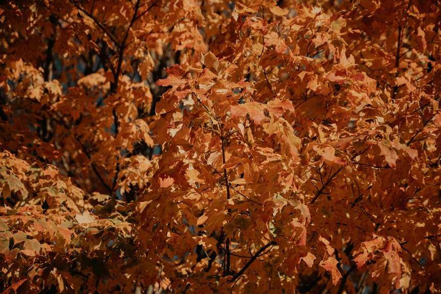 wisconsin rv camping sites