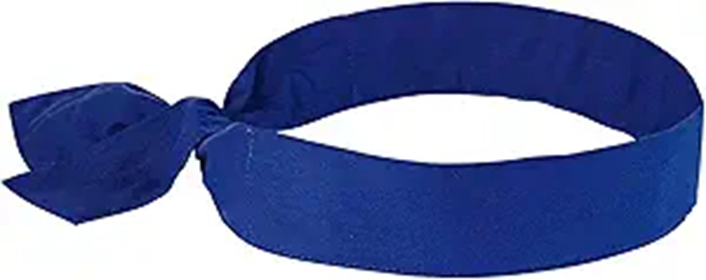 ergodyne blue cooling bandana