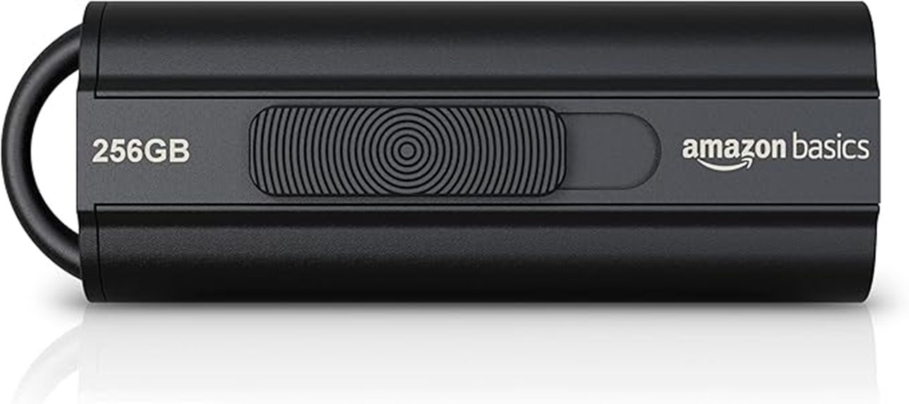 fast 256gb usb drive