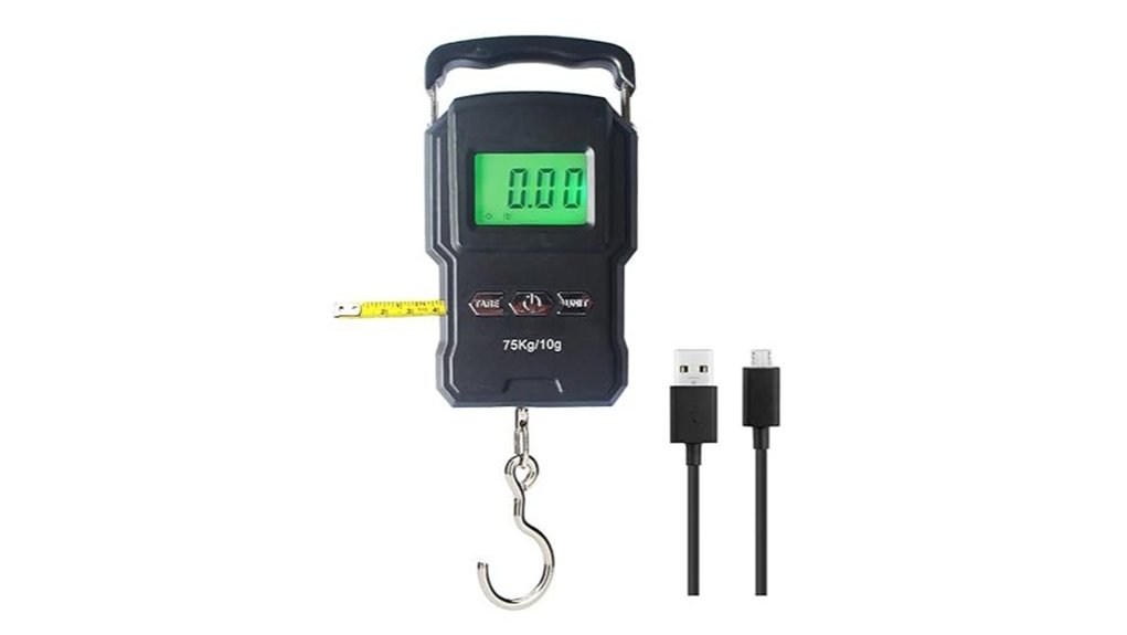 portable electronic hook scale