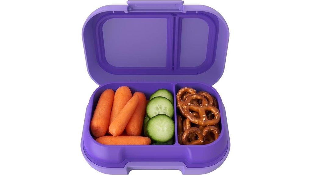 Best Bento Snack Boxes for Train Travel That Keep Food Fresh 14 2 compartment leak proof bento box