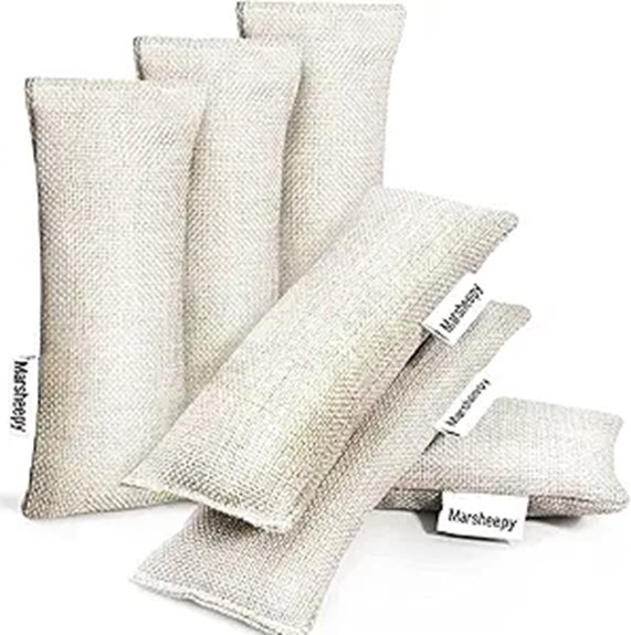 Best Shoe Bags with Deodorizing Liners That Keep Smells Out 7 6 pack charcoal shoe deodorizer