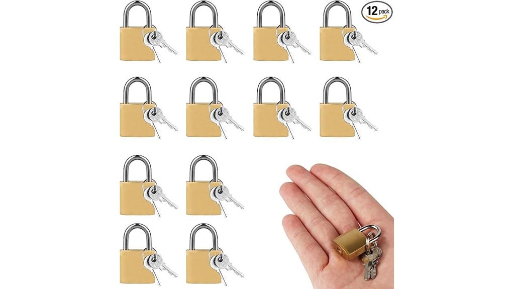 Best Small Padlocks for Travel: Smooth Shackle You’ll Love 2 antique brass d shaped padlocks
